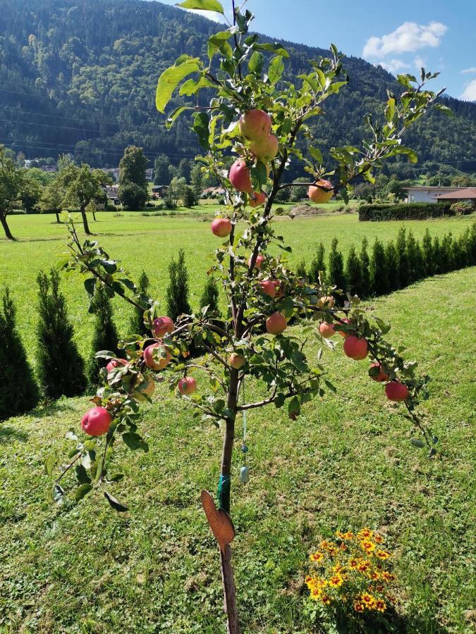 Apartment - Ferienwohnung 2 Treffen Am Ossiachersee 외부 사진
